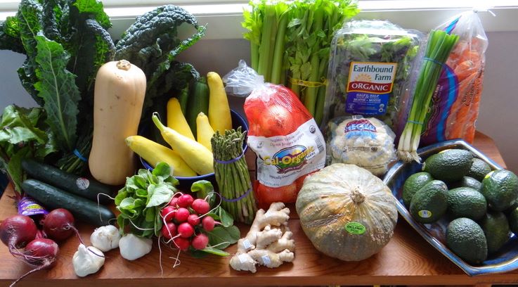 180 grader om – min kostresa - MSdiet - Ung Med MS